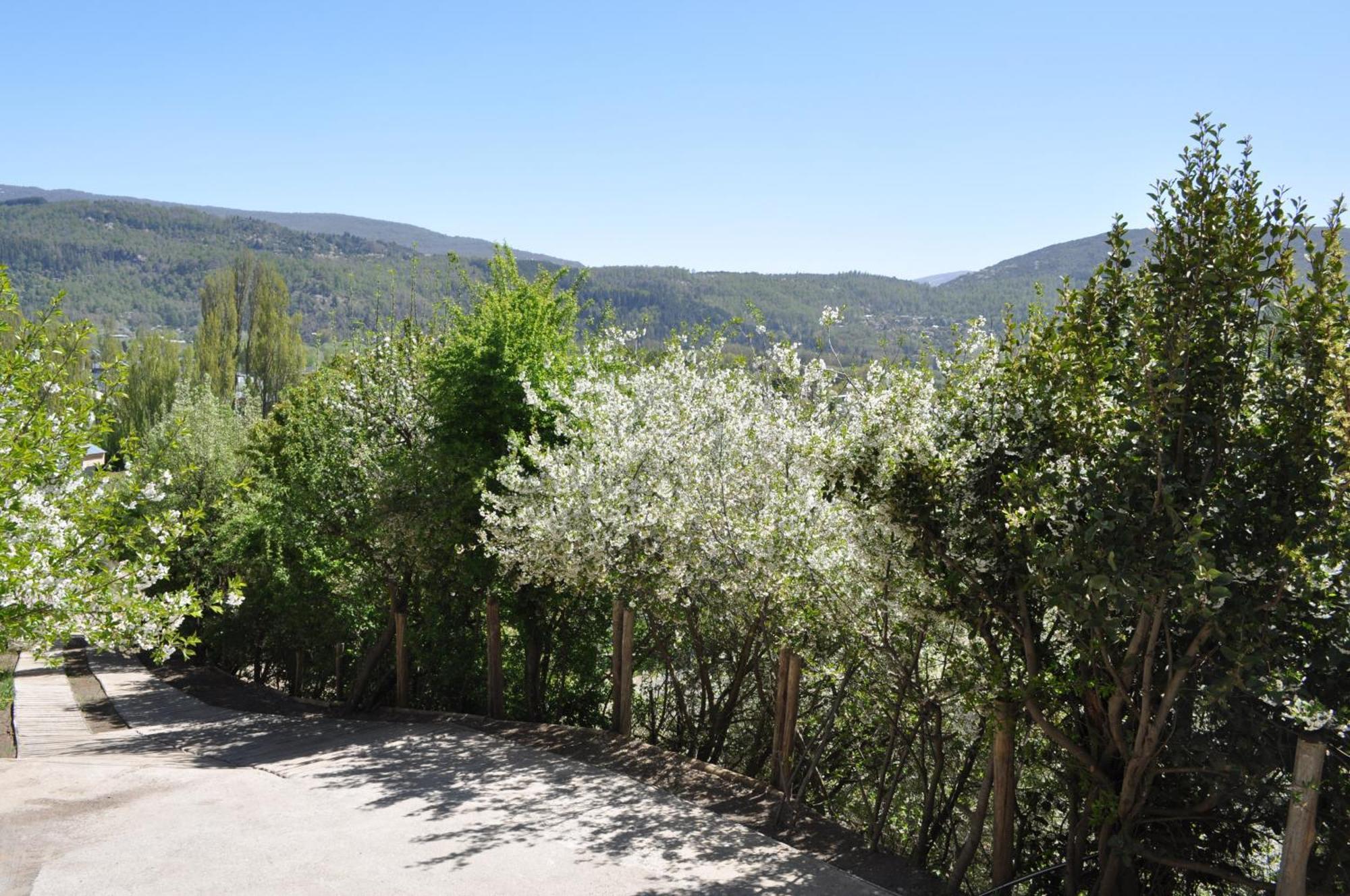Melodia Natural En San Martín de los Andes Buitenkant foto
